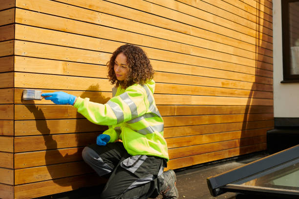Best Custom Siding Design  in Ettrick, VA